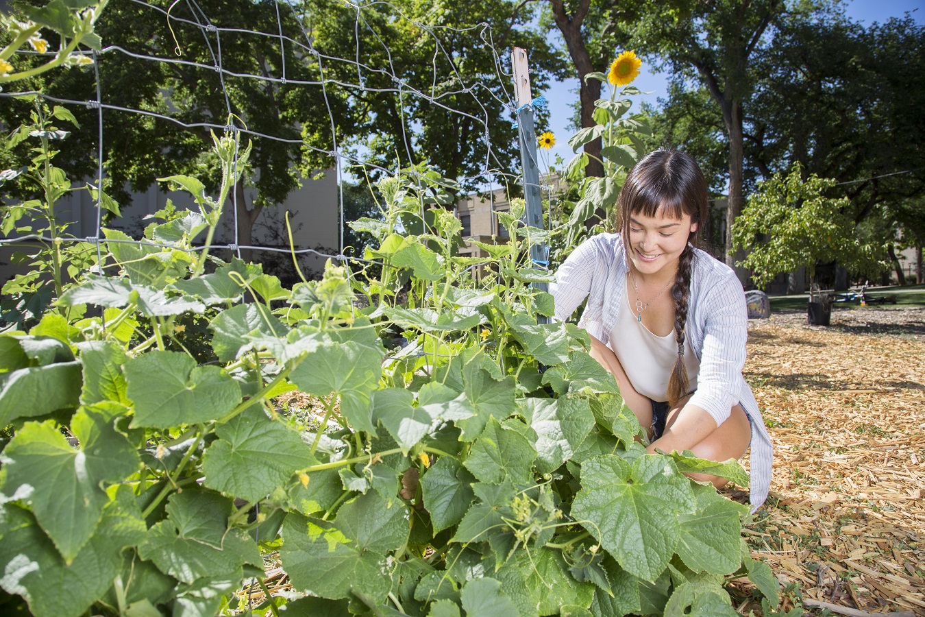 Woman crouching down and gardening