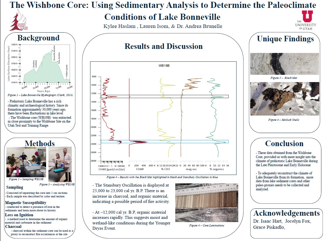 The Wishbone Cone research poster