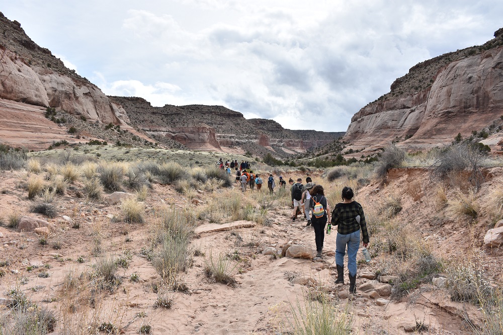 Students walking in the desert